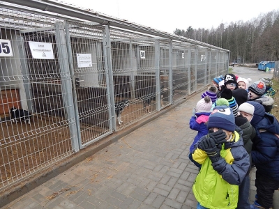 Odwiedzamy Schronisko dla Zwierząt