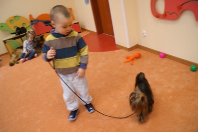Prowadzimy na smyczy...