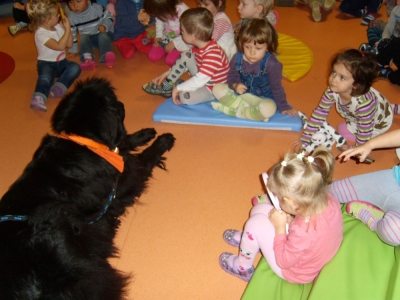 Dogoterapia
