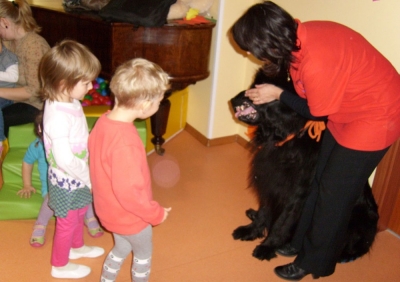 Dogoterapia
