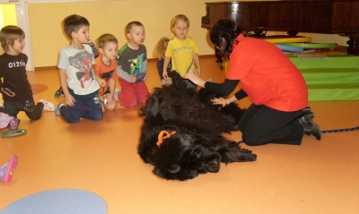 Dogoterapia