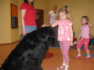 dogoterapia_1