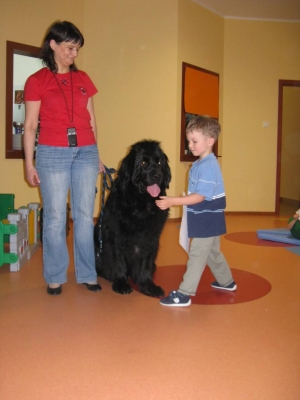 dogoterapia_3