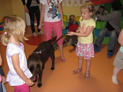 dogoterapia_6