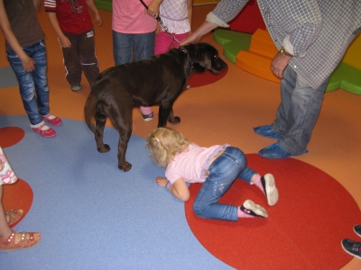 dogoterapia_7